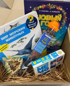 Морской бокс 3+