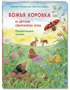 Божья коровка и другие обитатели луга. Познавательные истории