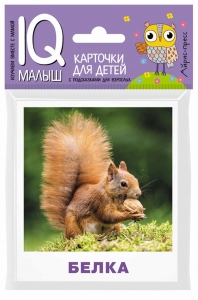 Кто живёт в лесу? Набор карточек для детей.