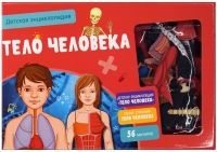 Тело человека. Энциклопедия с магнитами