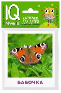 Насекомые. Набор карточек для детей.